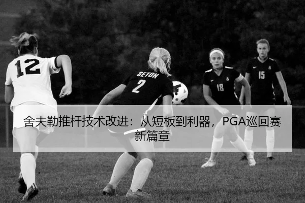she-fu-lei-tui-gan-ji-shu-gai-jin-cong-duan-ban-dao-li-qi-xun-hui-sai-xin-pian-zhang-2-759.jpg