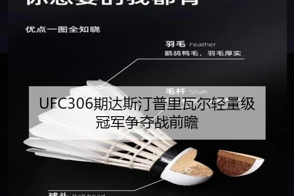 UFC306期达斯汀普里瓦尔轻量级冠军争夺战前瞻