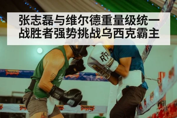 张志磊与维尔德重量级统一战胜者强势挑战乌西克霸主