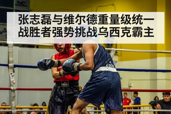 boxer in action